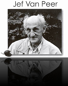 Zoerselse koppen